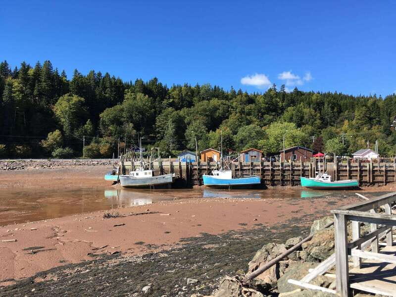From Saint John: Bay of Fundy Bus Trip for Cruise Passengers - A Deep Dive into the Tour Itself