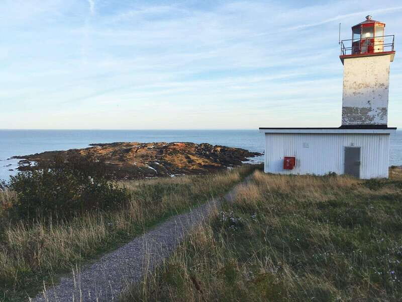 From Saint John: Bay of Fundy Bus Trip for Cruise Passengers - The Sum Up