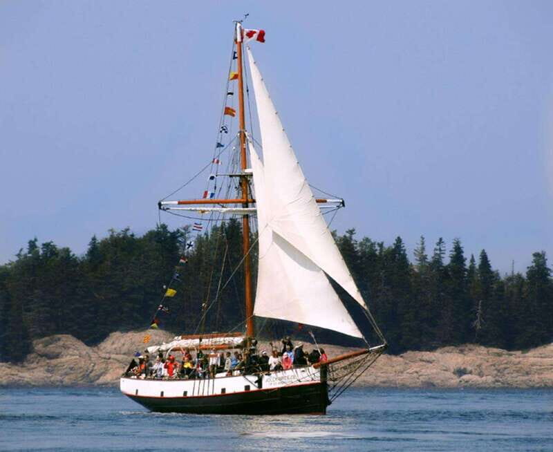 From Saint John: Saint Andrews Whale Watching Tour - FAQ