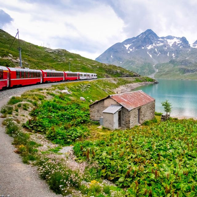 From Saint Moritz: Bernina Train to Tirano - Ticket Options and Pricing
