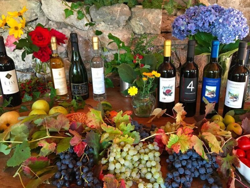 From Salerno: Amalfi Coast Tour and Wine Tasting with Lunch - An In-Depth Exploration of the Tour