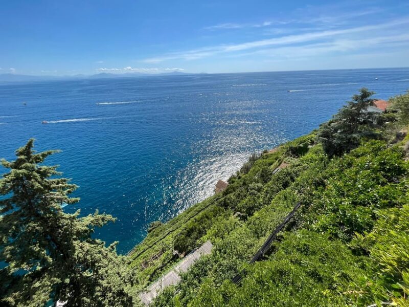 From Salerno: Amalfi Half Day Trip with Scenic Drive - Why This Tour is a Great Choice  