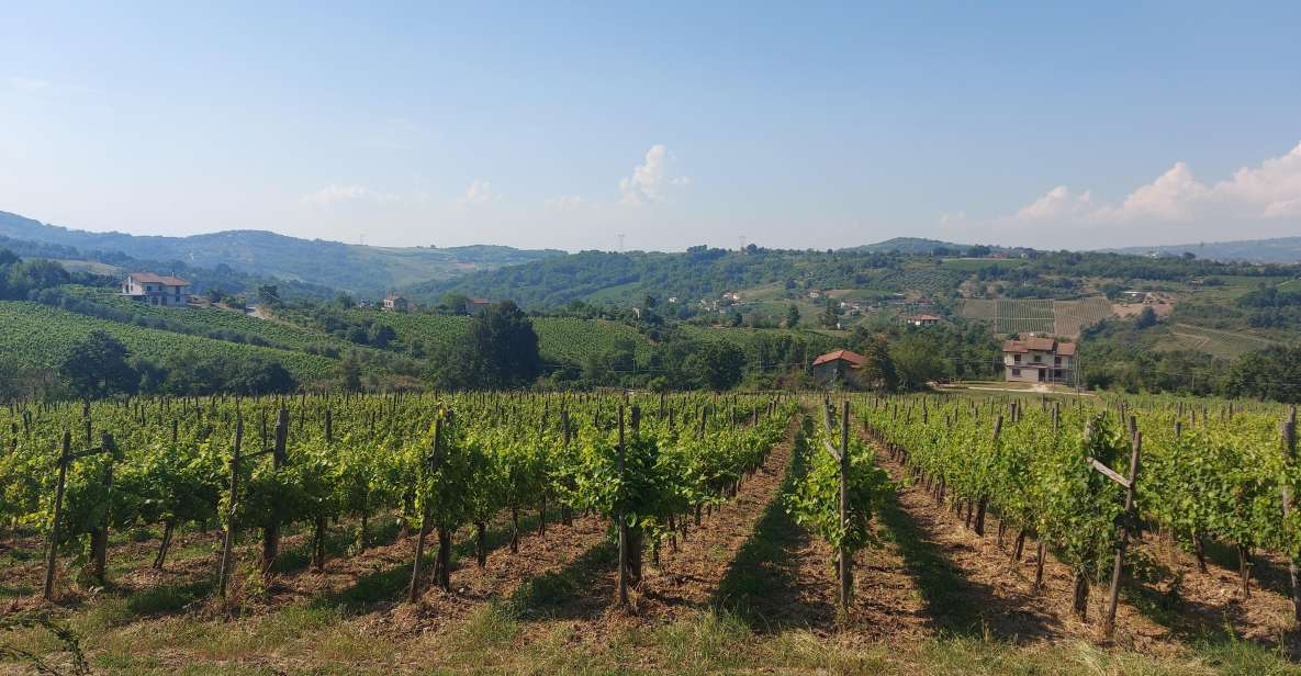 From Salerno: Irpinia Wine Tour Half-Day Trip - Key Points