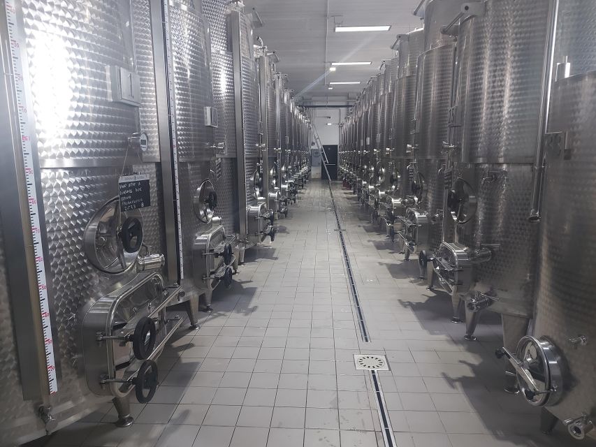 From Salerno: Irpinia Wine Tour Half-Day Trip - Itinerary Highlights