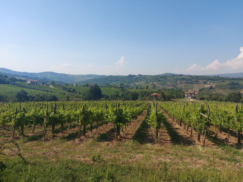 From Salerno: Irpinia Wine Tour Half-Day Trip - Wine Tasting Experiences