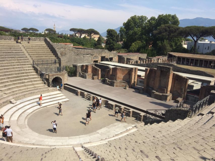 From Salerno: Pompeii Guided Walking Tour - Experience Highlights