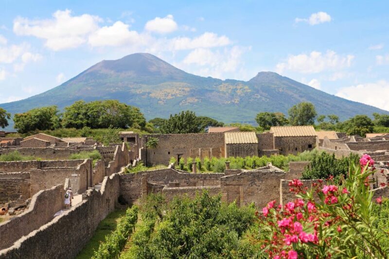 From Salerno_Pompeii Express_bus+ skip the line ticket - Who Will Enjoy This Tour?