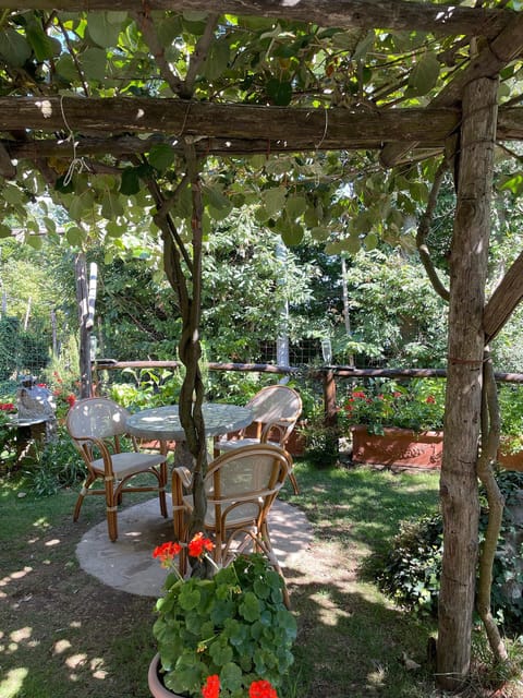 From Salerno:Amalfi Coast Tour & Cooking Class with Transfer - Introduction