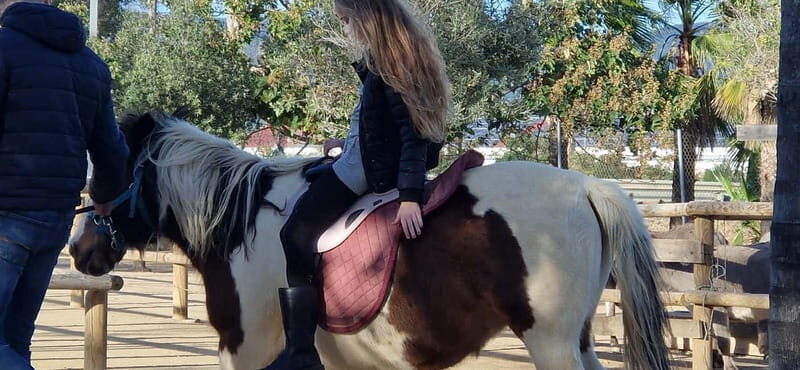 From Salou: animal farm park with hotel pickup - Key Points