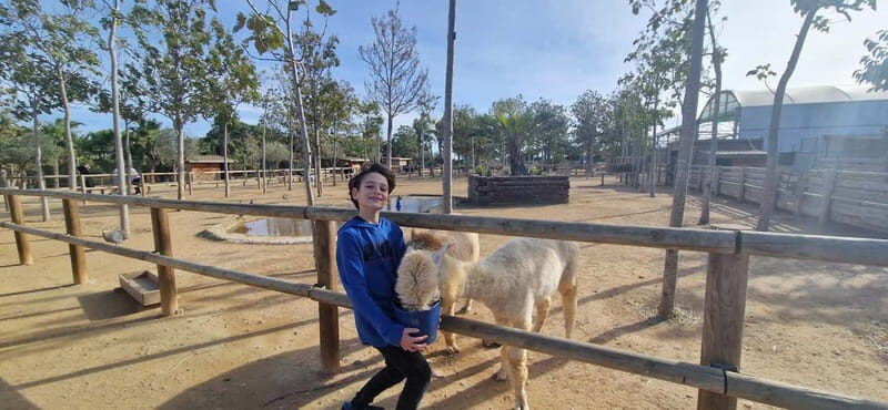 From Salou: animal farm park with hotel pickup - What This Tour Offers and Why It Matters