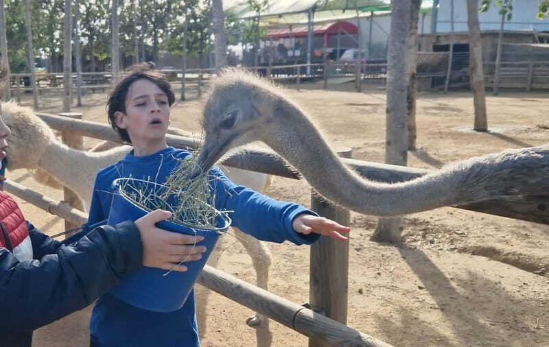 From Salou: animal farm park with hotel pickup - Cost and Value