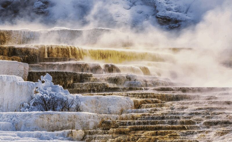 From Salt Lake City: Yellowstone & Grand Teton 5-Day Tour - Who Is This Tour Best For?