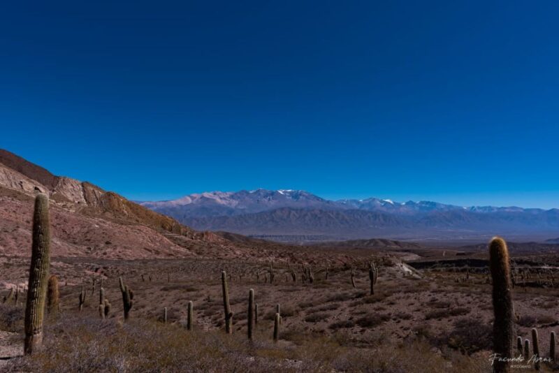 From Salta: 3-Day Trip to Salinas Grandes, Cachi & Hornocal - Guide Information