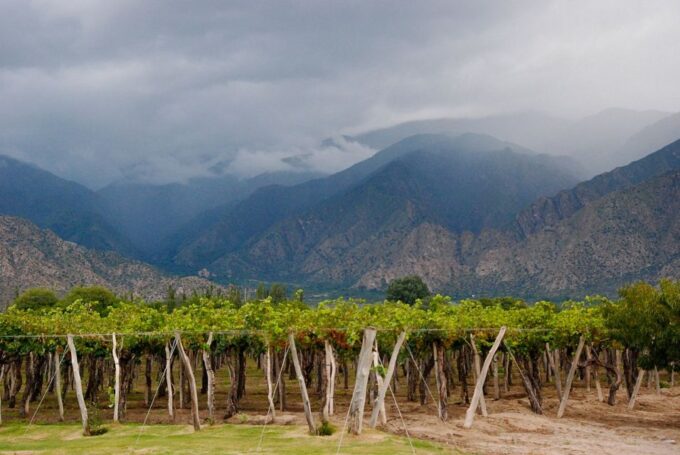 From Salta: Cafayate and the Imposing Quebrada De Las Conchas - Transportation Options