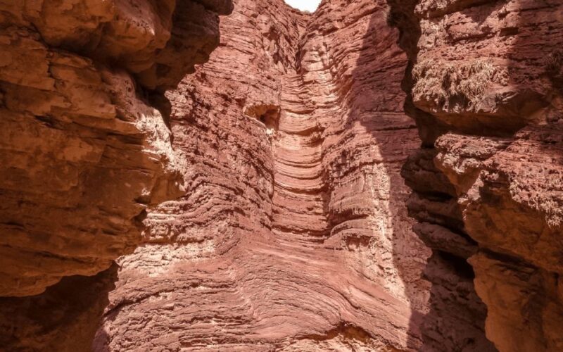 From Salta: Cafayate, Humahuaca, and Salinas Grandes in 3 Days - Wine Experience