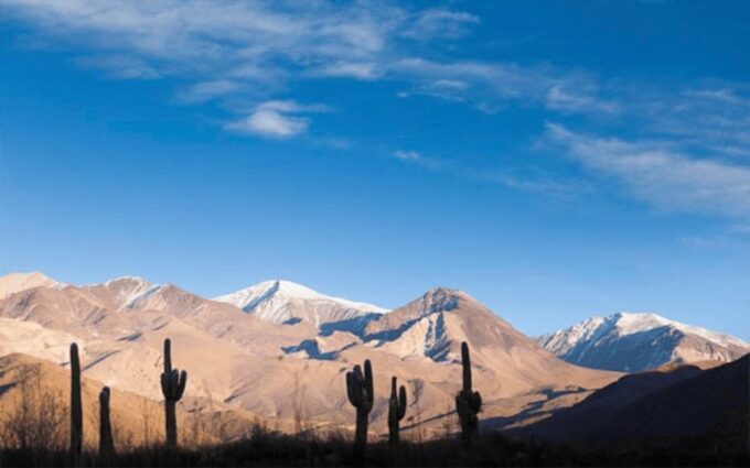 From Salta: Full-Day Excursions Through Cachi and Humahuaca - Food and Drink Information