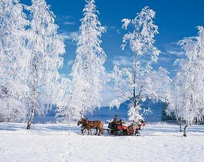 From Salzburg: 8 hour Horse-Drawn incl. 2-hour Carriage Ride - An Overview of the Experience