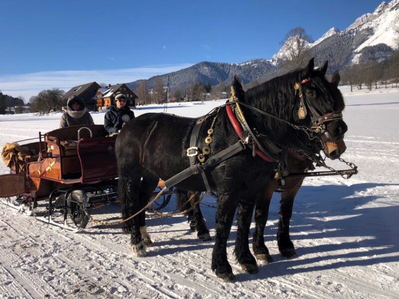 From Salzburg: 8 hour Horse-Drawn incl. 2-hour Carriage Ride - The Logistics: What to Expect
