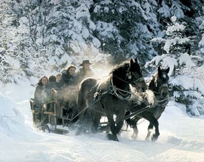 From Salzburg: 8-hour Horse-Drawn Tour w/ 2-hour Sleigh Ride - Key Points