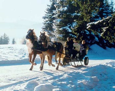 From Salzburg: 8-hour Horse-Drawn Tour w/ 2-hour Sleigh Ride - Exploring the Itinerary: What to Expect on This Winter Wonderland Tour