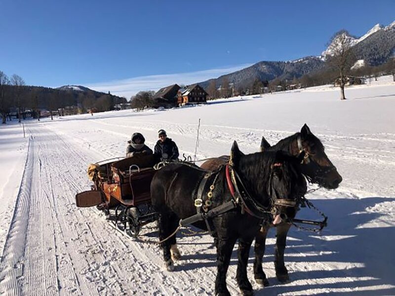 From Salzburg: 8-hour Horse-Drawn Tour w/ 2-hour Sleigh Ride - Final Thoughts