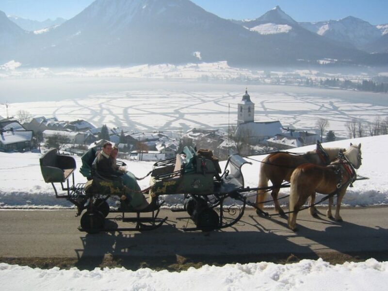 From Salzburg: Romantic Sleigh Ride through the Countryside - The Value and Cost