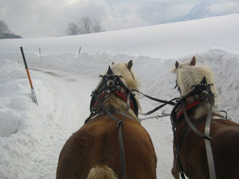 From Salzburg: Romantic Sleigh Ride through the Countryside - Practical Tips for Travelers