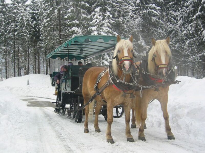 From Salzburg: Romantic Sleigh Ride through the Countryside - The Sum Up