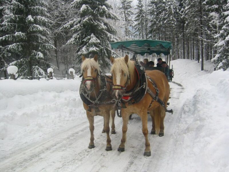 From Salzburg: Romantic Sleigh Ride through the Countryside - FAQs