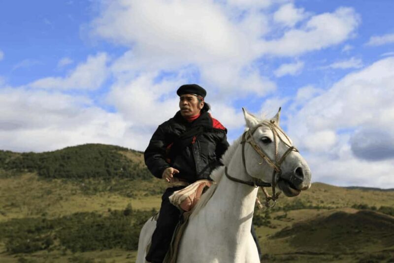 From Samaná: El Limón Waterfall Horseback Ride with Lunch - Final Thoughts: Who Is This Tour Best For?