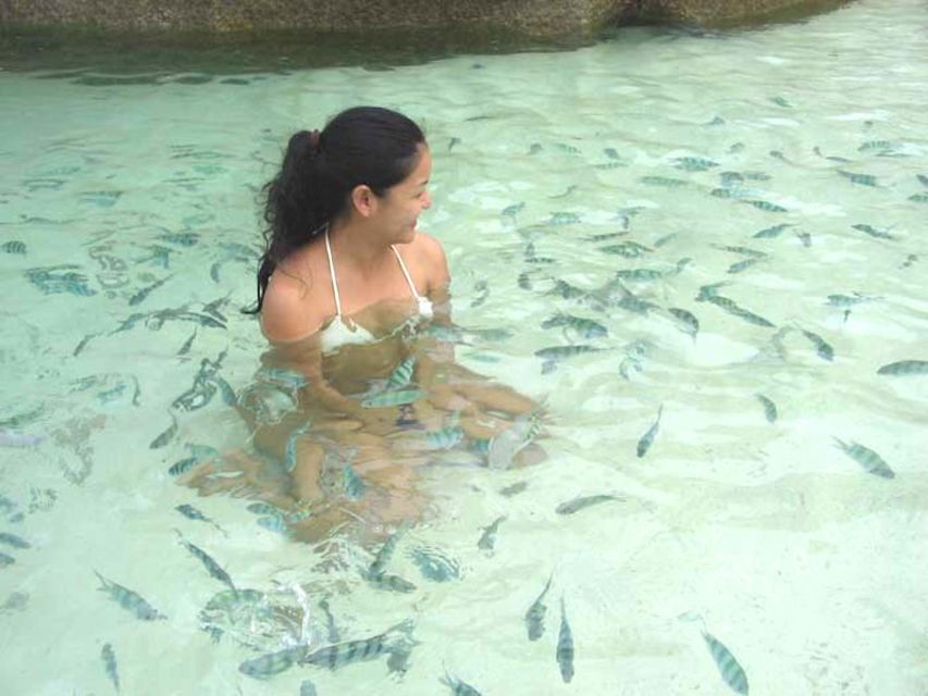 From Samui: Ko Tao and Koh Nang Yuan Speedboat Day Trip - Frequently Asked Questions