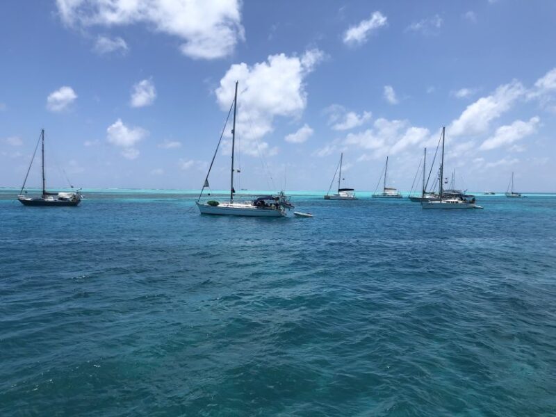 From San Andrés: Speedboat Tour to Johnny Cay Island - How to Book Your Tour
