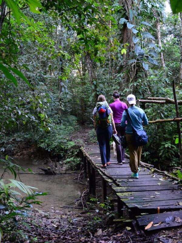 From San Cristóbal: Lacandona Jungle 3 Days Tour - Day 3: Jungle Hikes and Waterfalls