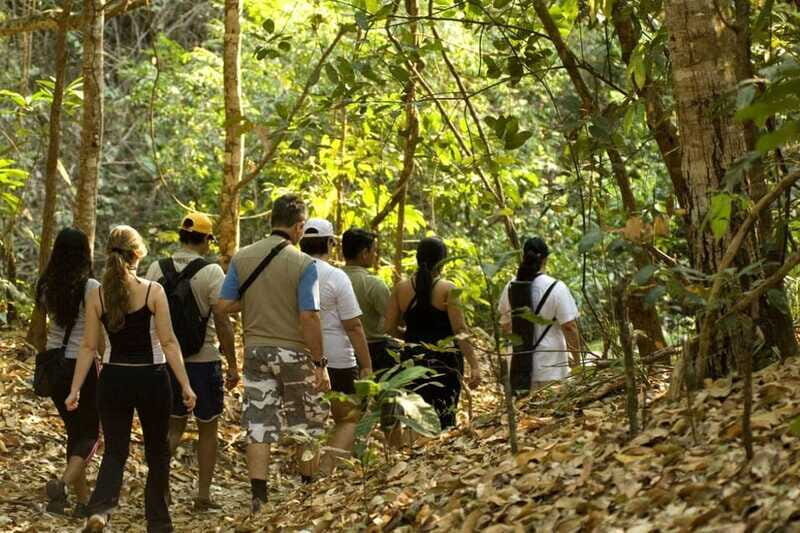 From San Cristóbal: Lacandona Jungle 3 Days Tour - What Travelers Say