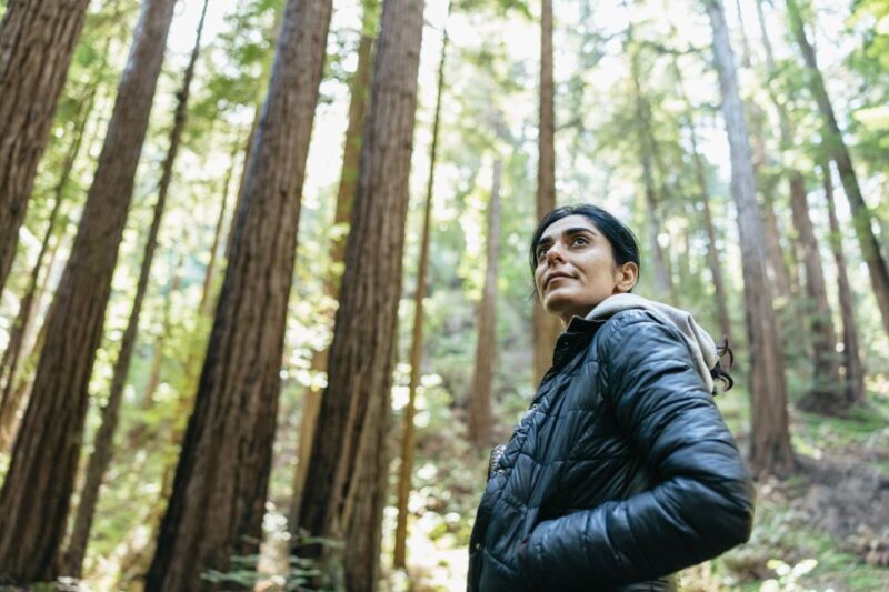 From San Francisco: Guided Muir Woods Tour - A Thorough Look at the Tour Itself