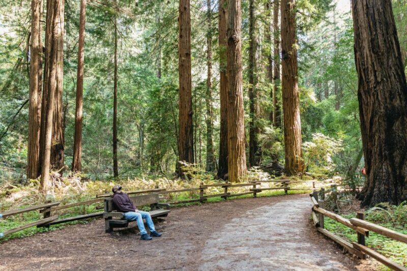 From San Francisco: Guided Muir Woods Tour - Who Should Book This Tour?