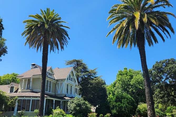 From San Francisco: Half-Day Wine Country Tour, Tastings Included - Guest Experiences and Reviews