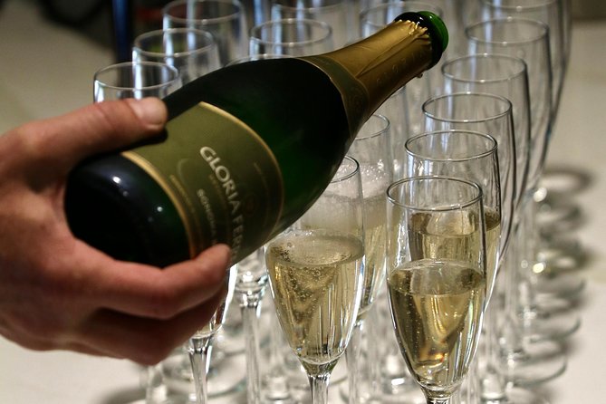 From San Francisco: Half-Day Wine Country Tour, Tastings Included - Recommendations for Travelers