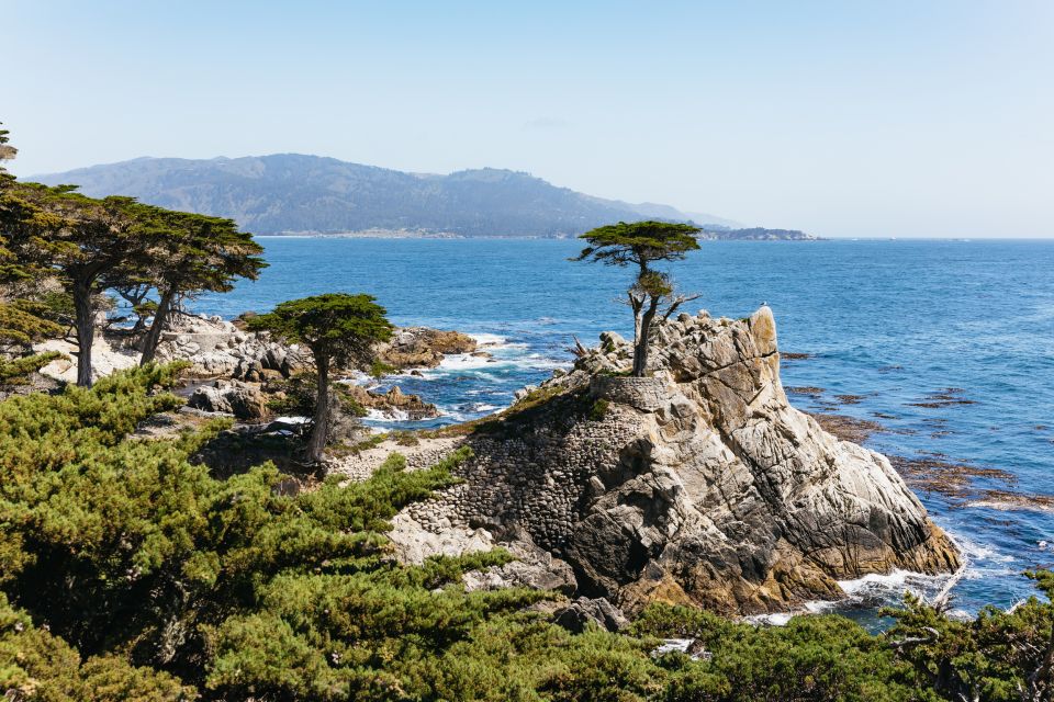 From San Francisco: Monterey and Carmel Day Tour - Pickup Locations and Timings