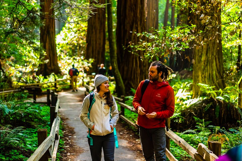 From San Francisco: Muir Woods and Sausalito Half-Day Trip - Frequently Asked Questions