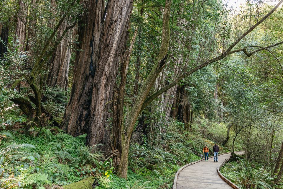 From San Francisco: Muir Woods National Monument Guided Tour - Transportation to Muir Woods