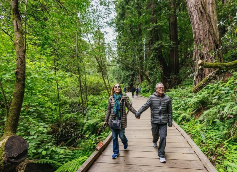 From San Francisco: Muir Woods, Sausalito and Alcatraz Tour - Key Points