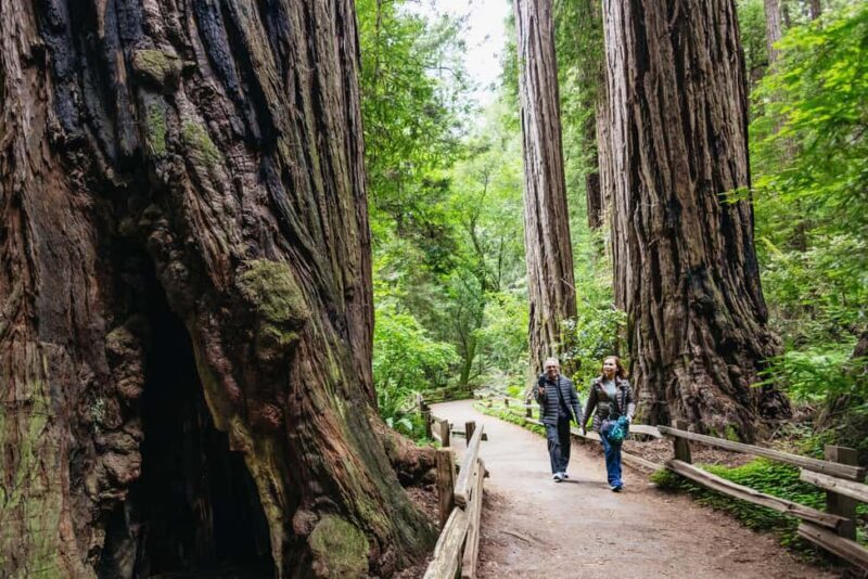 From San Francisco: Muir Woods, Sausalito and Alcatraz Tour - Reviews and Real Travelers’ Insights