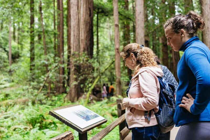 From San Francisco: Muir Woods, Sausalito and Alcatraz Tour - Is This Tour Right for You?
