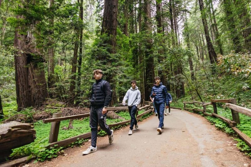 From San Francisco: Muir Woods, Sausalito and Alcatraz Tour - Final Thoughts