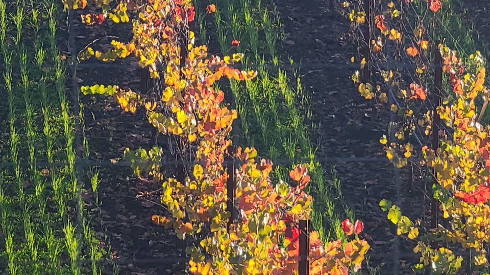 From San Francisco: Napa and Sonoma Private Wine Tour - Booking Information