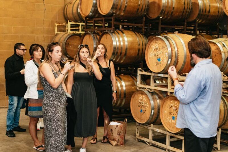 From San Francisco: Napa & Sonoma Valley Full-Day Wine Tour - A Deep Dive into the Experience