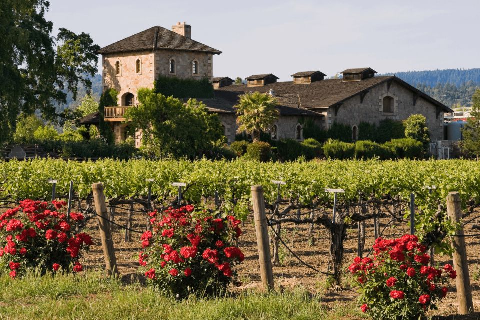 From San Francisco: Napa & Sonoma Wine Country Private Tour - Recap