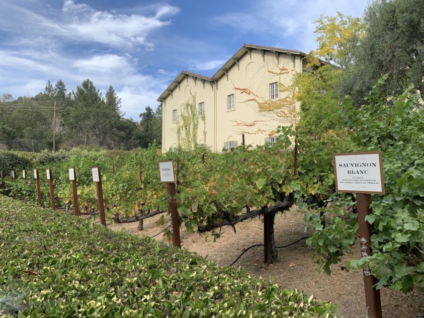 From San Francisco: Private Beer and Wine SUV Tour - Recap
