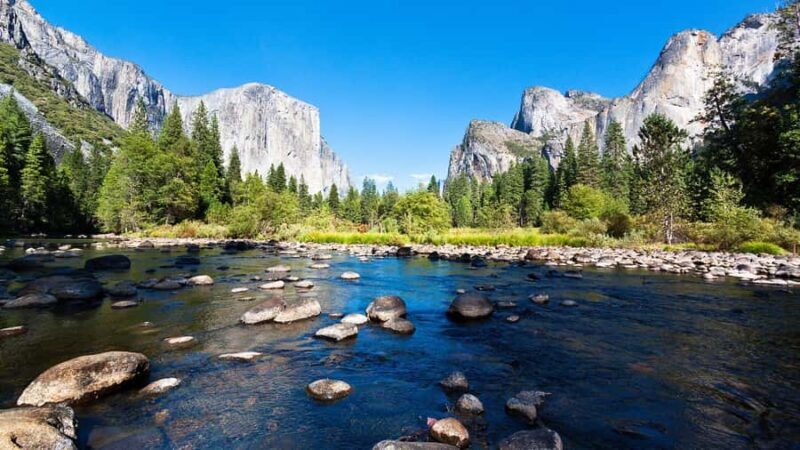 From San Francisco: Yosemite National Park Guided Day Trip - An In-Depth Look at the Yosemite Day Trip
